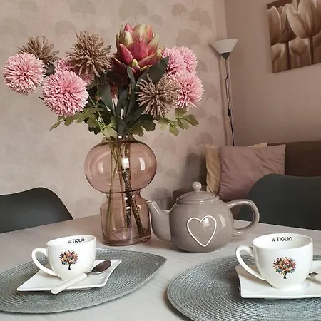 Appartement Il Tiglio Vicino Ospedale *